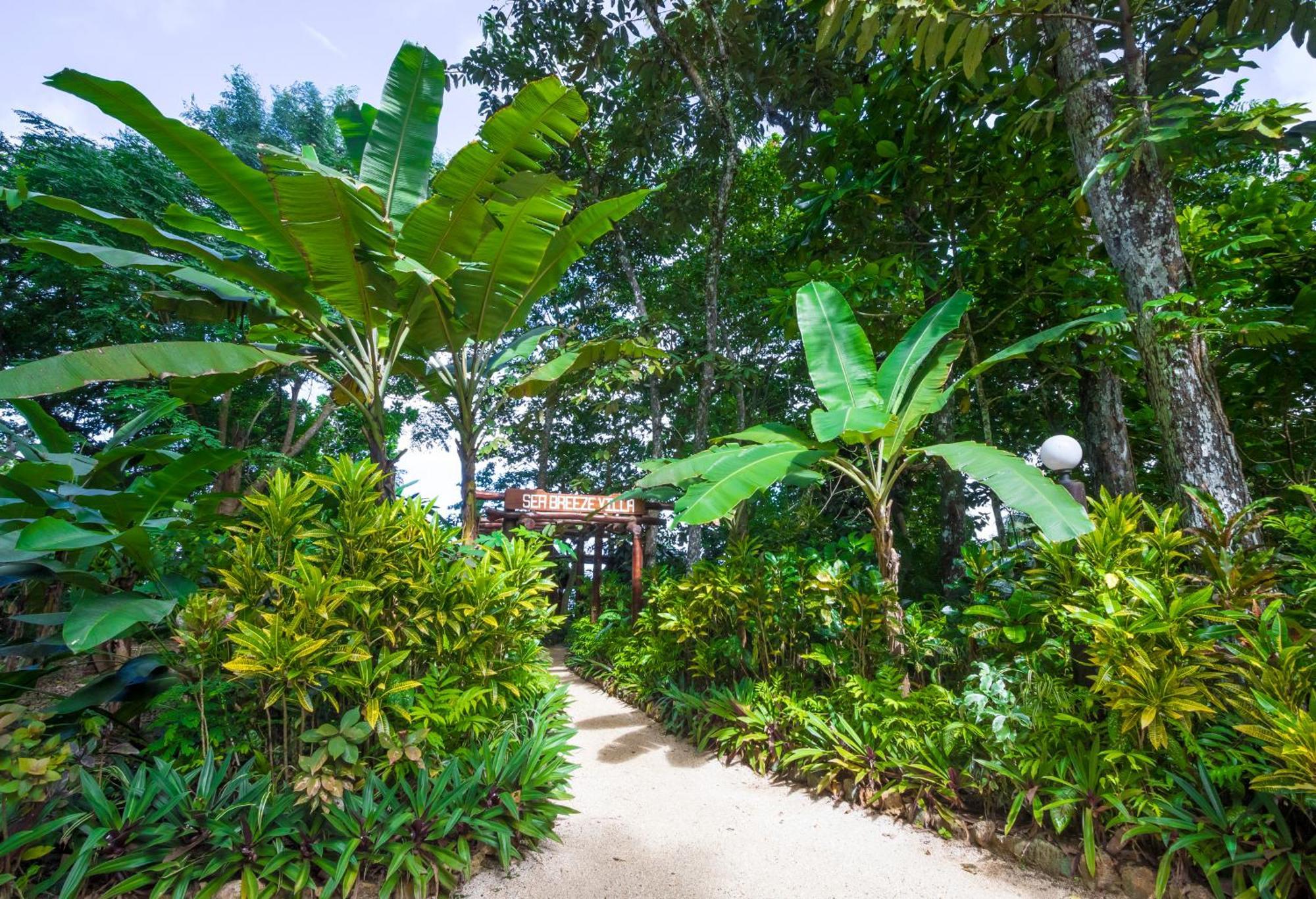 Savasi Island Resort Savusavu Kamer foto