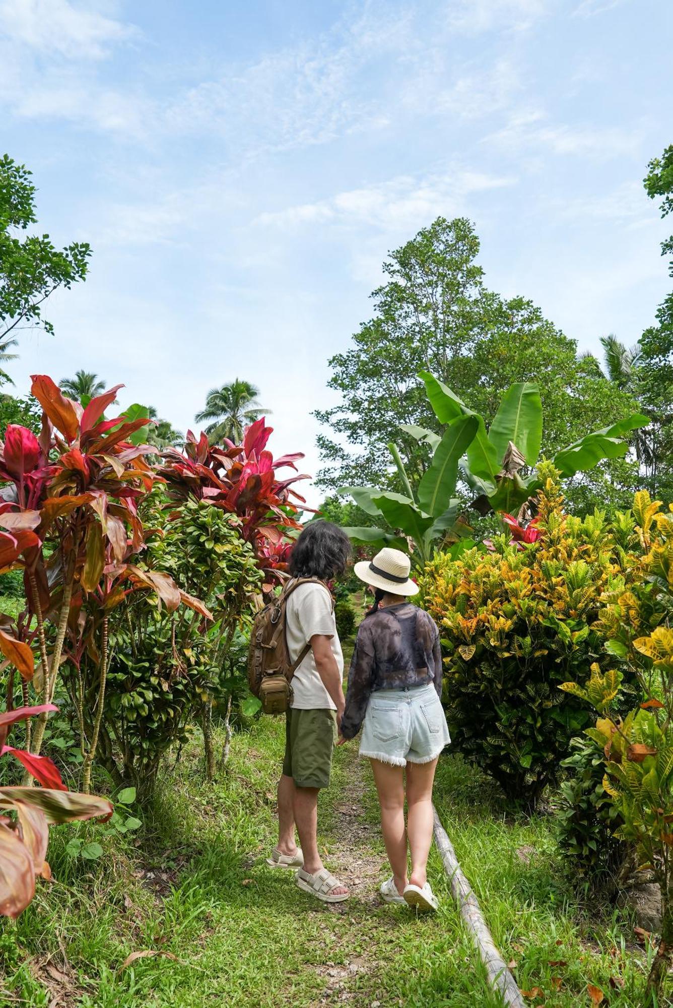 Savasi Island Resort Savusavu Buitenkant foto